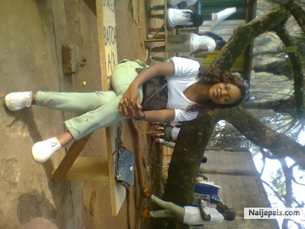 nysc tins - click for next photo