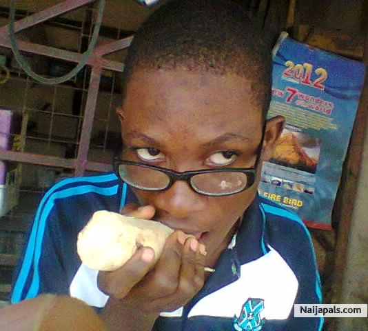  - click for next photo
