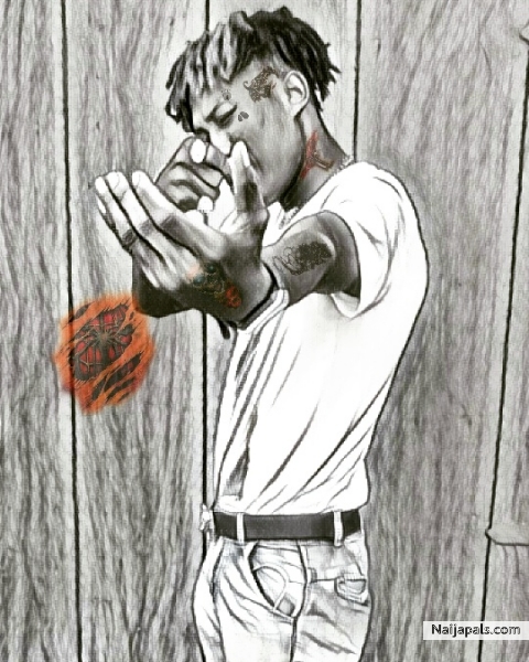 Trap life.. - click for next photo
