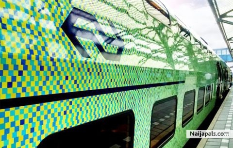 ns international met de naijapals transit id - click for next photo