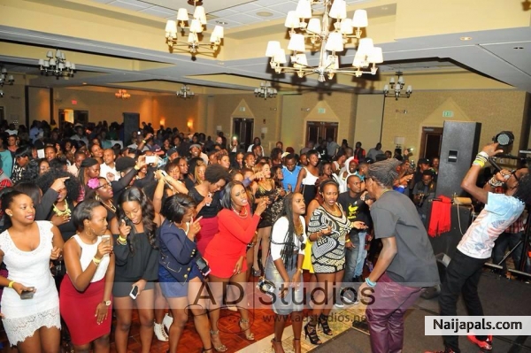 TEAM RADIO AND WEASEL - click for next photo