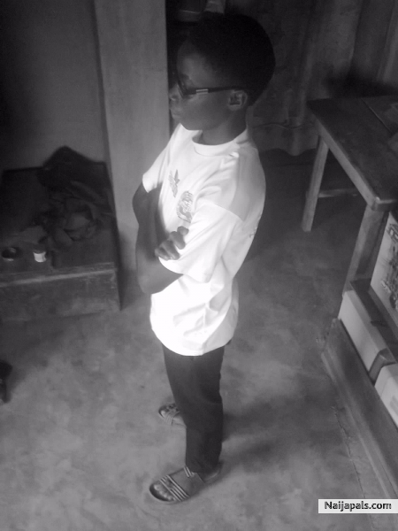  - click for next photo