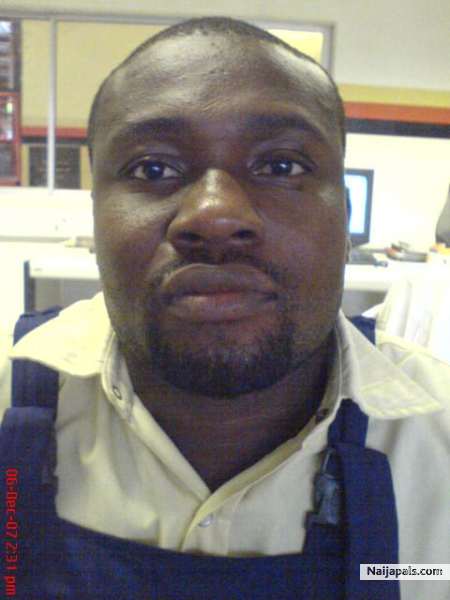 felix at work - click for next photo