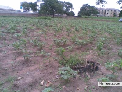 Empty Lands & Building for sale:Location-Abuja - click for next photo