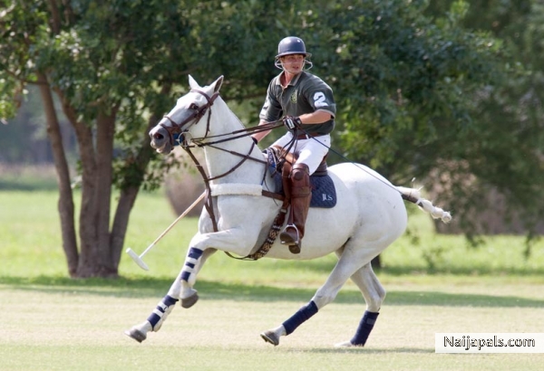 POLO - click for next photo