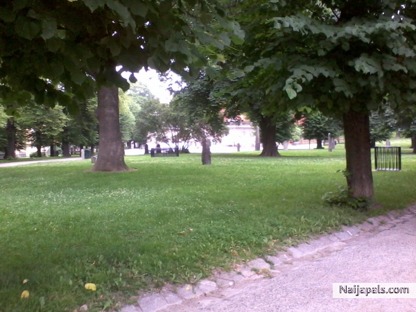  - click for next photo