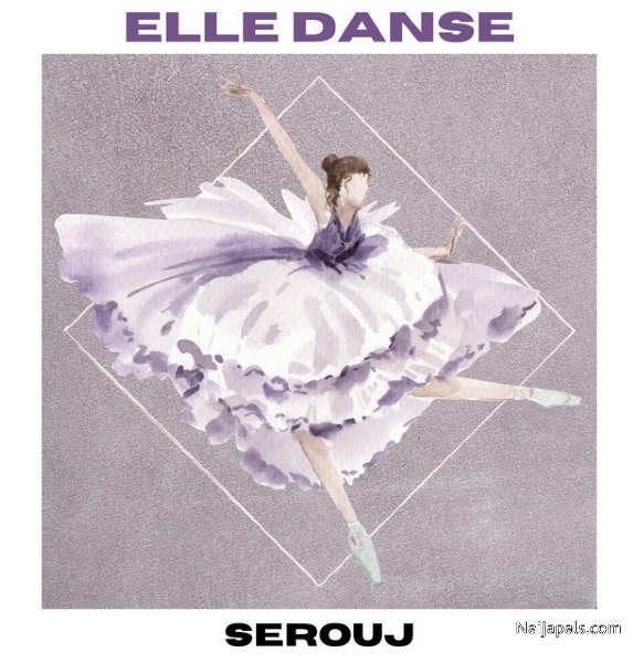 My Last Dance. but if you are reading these - I Will Danse Again! - click for next photo