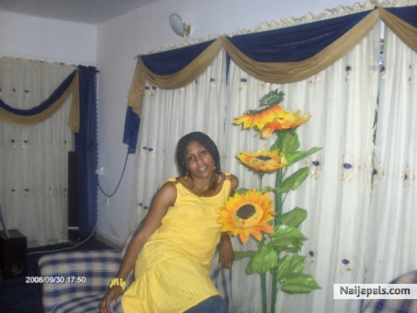 Niks - click for next photo