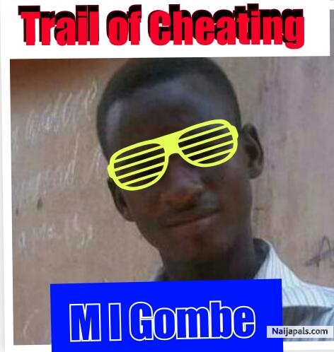 Trail Of Cheating - click for next photo