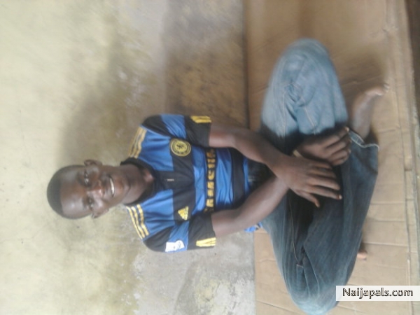  - click for next photo