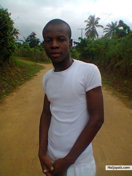 Stonywonder