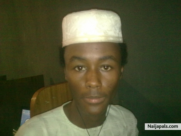 danfo - click for next photo