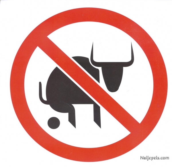 no bullshit - click for next photo