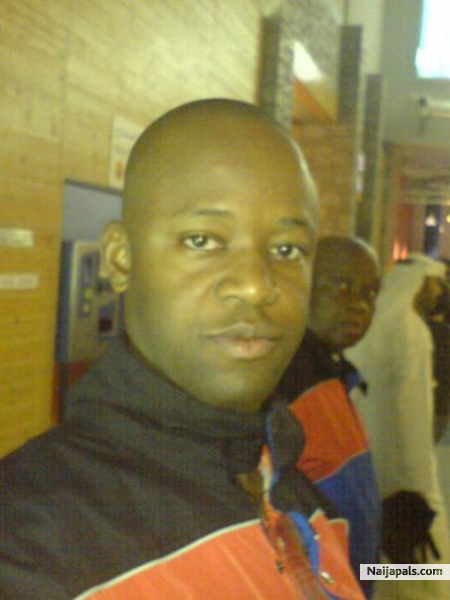 stevo - click for next photo