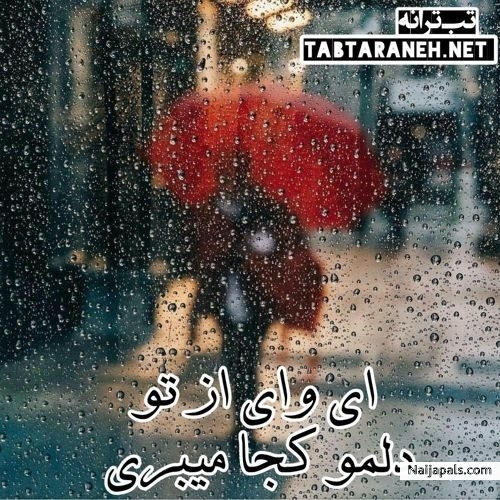 put together. raining seasons 9ice - click for next photo