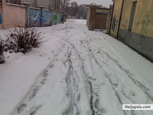  - click for next photo
