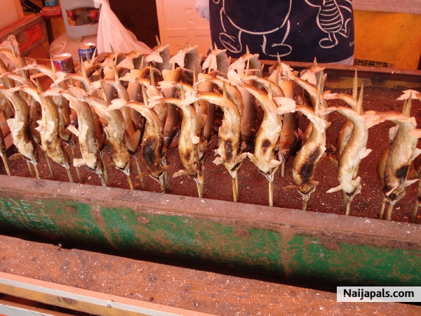 gRiLLeD FisH @ny0nE??? - click for next photo