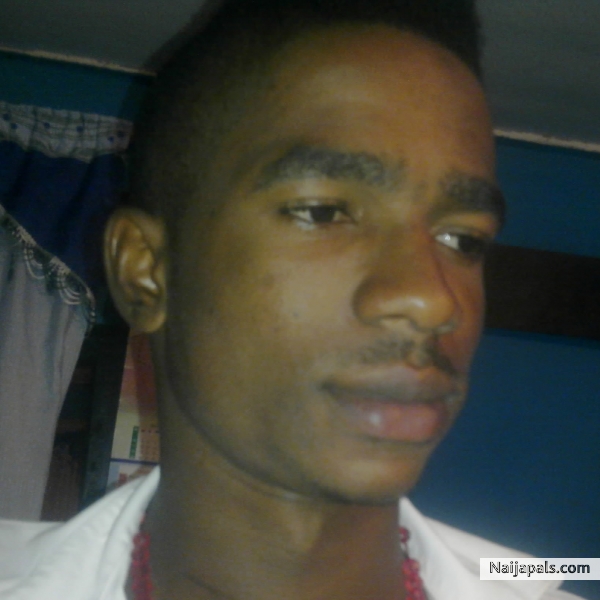 harrison - click for next photo