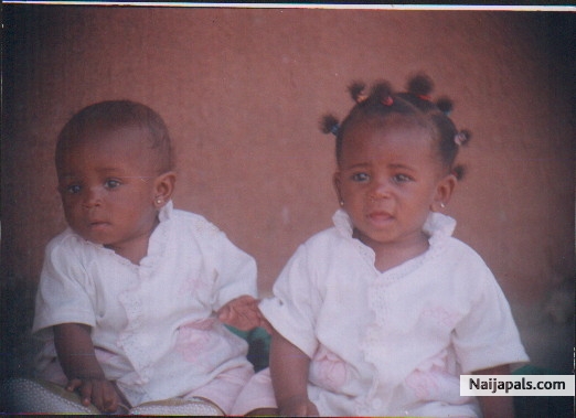 MY BABIES - click for next photo