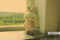  - click for next photo