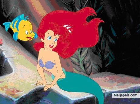 ariel - click for next photo