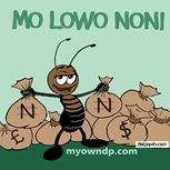 mo lowo noni - click for next photo