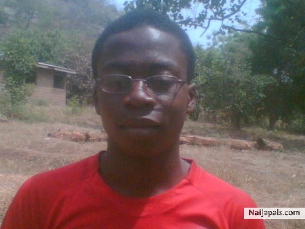 Naija Boy - click for next photo