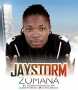 Jaystorm