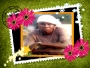 oziba22
