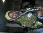 iyabode