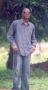 Collins1986