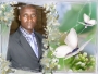 modeste28