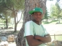 ifetex_dom