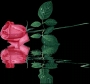 dlove2011