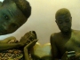 youngndi