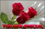 tos4love