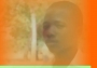 Terion