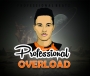 Overload by Professional