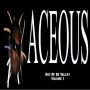 turn it un by Wizy Aceous