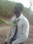 Gedon