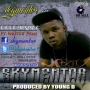 SKYMENTOR