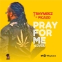 Trhymesz x Picazo