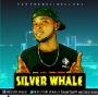 wanna know by silver whale