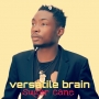 Versatile Brain 