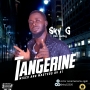 Sky G
