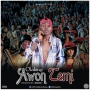 AWON TEMI by Olaking