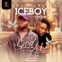 Iceboy Ft Sticker 