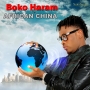 Boko Haram by African China