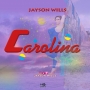 Jayson Wills
