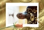 Dbarack